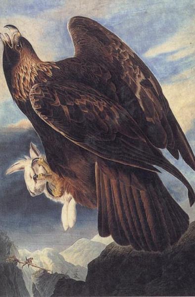John James Audubon Golden Eagle China oil painting art